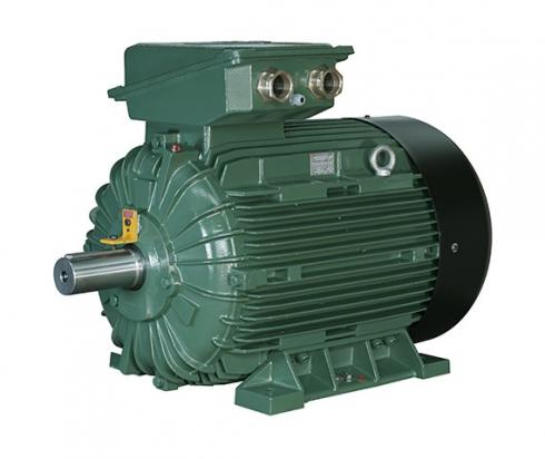Электродвигатель NMST 315S8 55 кВт 750 об/мин, исполнение B3